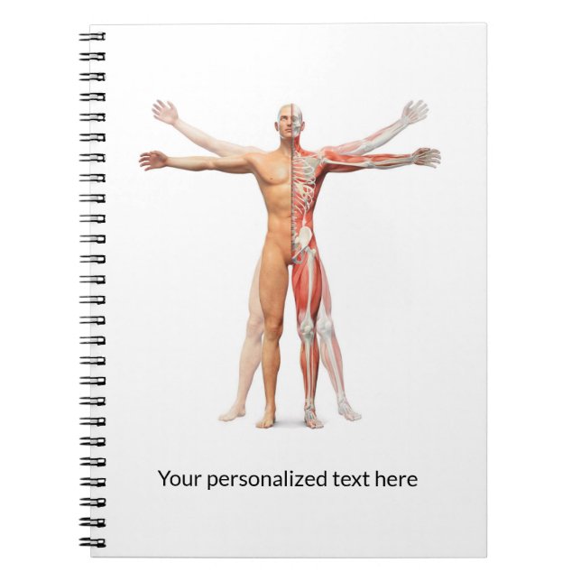Carnet Muscles squelettes du corps humain Médicale - Carn (Devant)