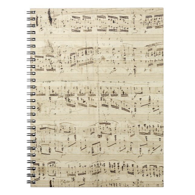 Carnet Musique de feuille sur le parchemin manuscrit en (Devant)