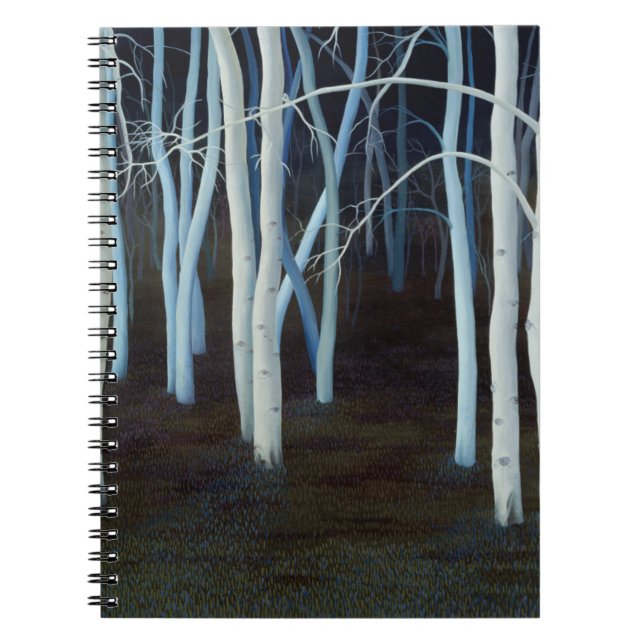 Carnet Mystique 2004 (Devant)