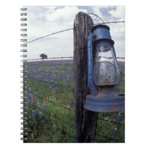 Carnet N.A., États-Unis, Texas, Llano, Lanterne bleue, Ch