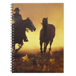 Carnet NA, États-Unis, Oregon, Seneca, Ponderosa Ranch, C