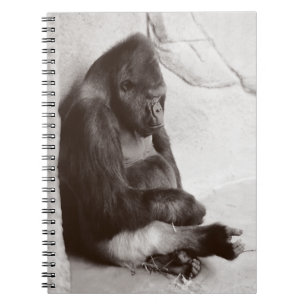 Carnet Napping Gorilla Photo