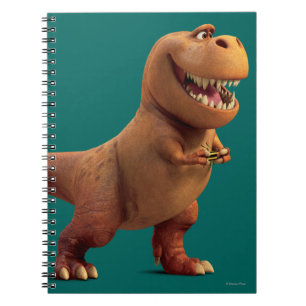 Carnet Nash avec bogue