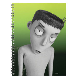 Carnet Nassor