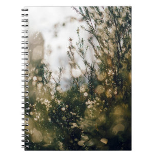 CARNET NATURE