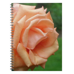 Carnet Nature de la fleur Rose de macrophage