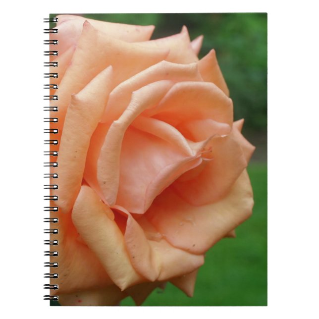 Carnet Nature de la fleur Rose de macrophage (Devant)