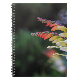 Carnet Naturel