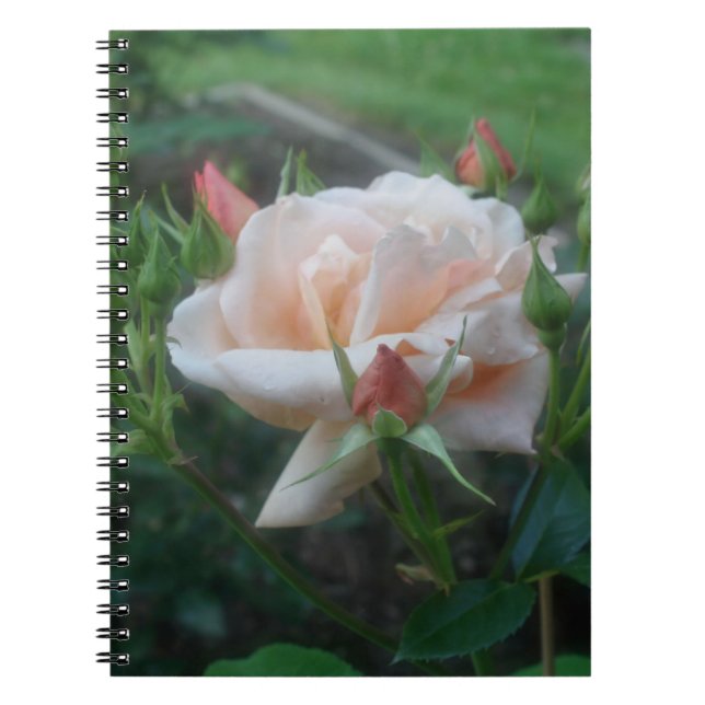 Carnet naturel Rose de pêche (Devant)