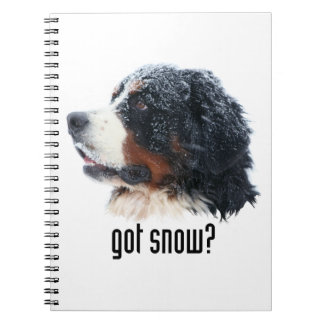 Carnet neige obtenue ? Chien de montagne de Bernese