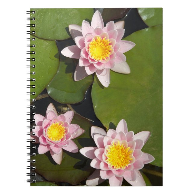 Carnet Nénuphars (Devant)