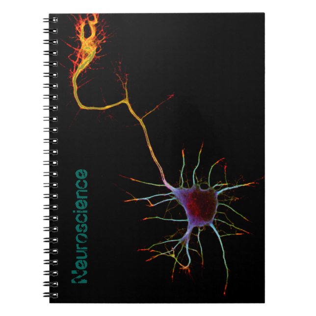 Carnet Neuroscience, neuron, science (Devant)