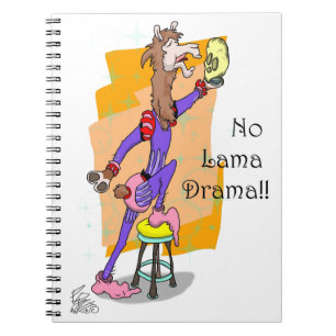 Carnet No lama drama