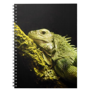 Carnet noble d'iguane