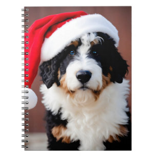Carnet Noël Bernedoodle