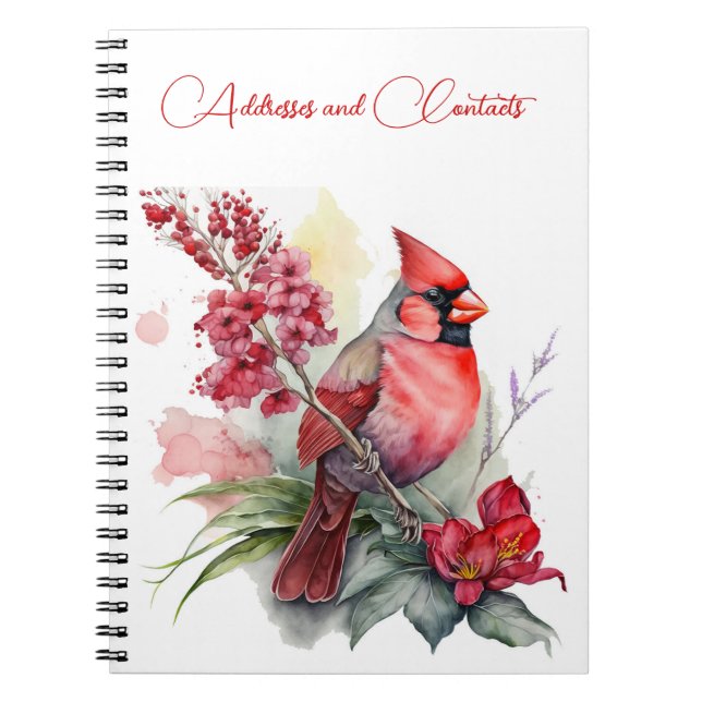 Carnet Noël du cardinal rouge (Devant)