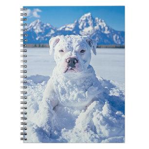 Carnet Noël Pitbull Chien Snowman