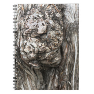 Carnet Noeud du tronc d'arbre