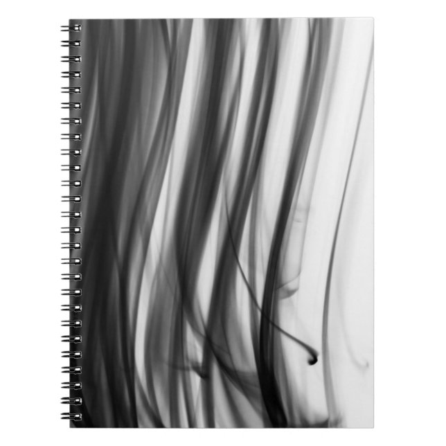 Carnet noir du feu III par l'artiste C.L. Brown (Devant)