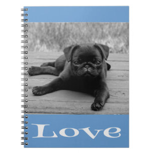 Carnet Noir et blanc Carlin Chien Chien Chien Bleu Love N