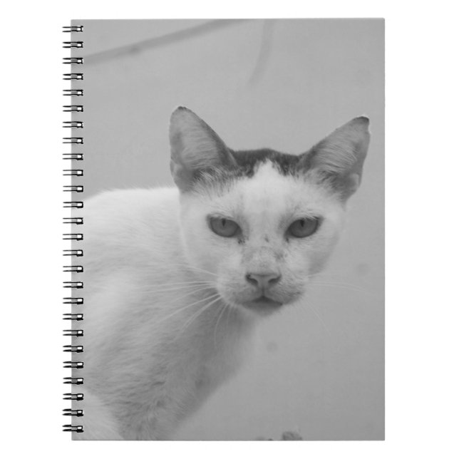 Carnet Noir et blanc - Chat 02 (Devant)