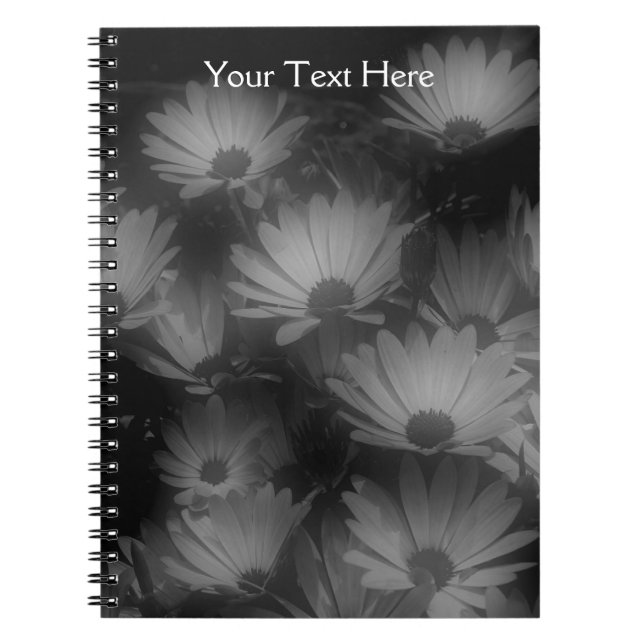 Carnet noir et blanc Fleurs marguerites africaines (Devant)