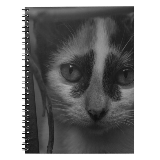 Carnet Noir et blanc - Kitty 02 (Devant)