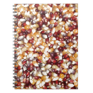 Carnet Noix de maïs populaire colorées