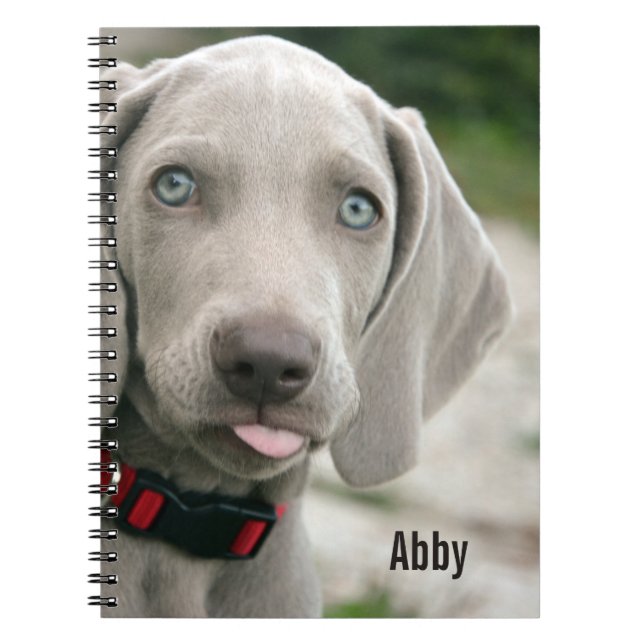 Carnet Nom personnalisé de photo de chien de Weimaraner (Devant)