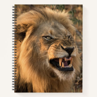 Carnet Nom personnalisé du lion en colère