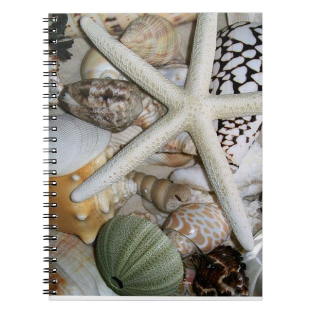Carnet Non (Devant)