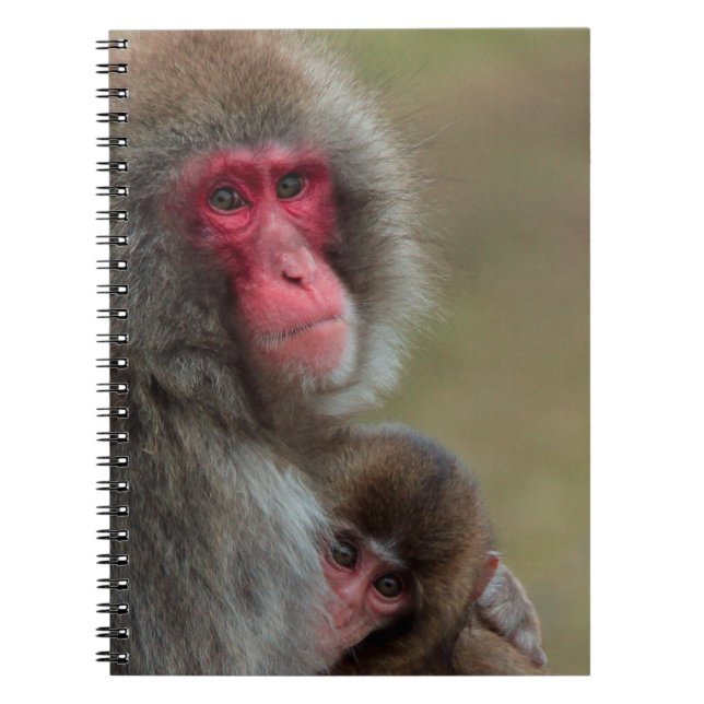 Carnet Notebook de singes macaques japonais (Devant)