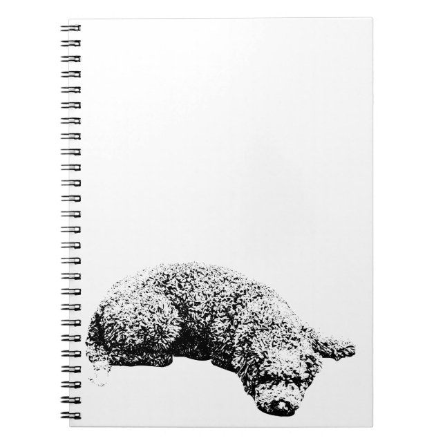 Carnet Notes de la fenêtre (Devant)