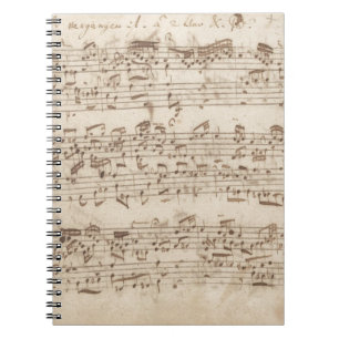 Carnet Notes de musique ancienne - Feuille de musique Bac