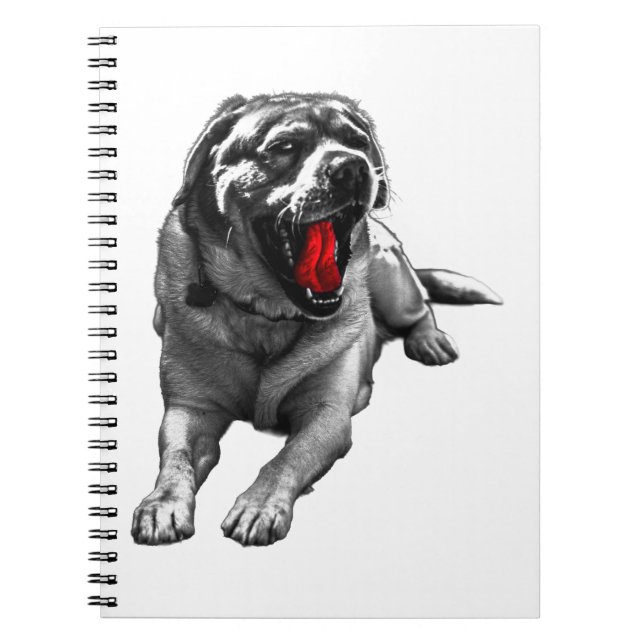 Carnet Notes d'Halloween Yawn (Devant)