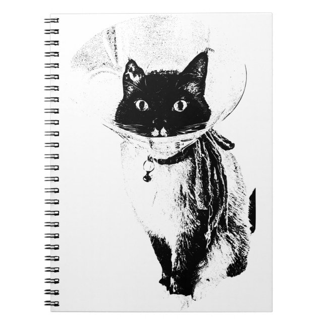 Carnet Notes du cône (Devant)