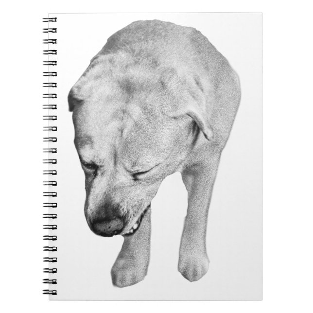 Carnet Notes hivernales avec Muse de laboratoire ombragée (Devant)