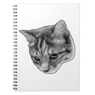 Carnet Notes sous les yeux attentifs
