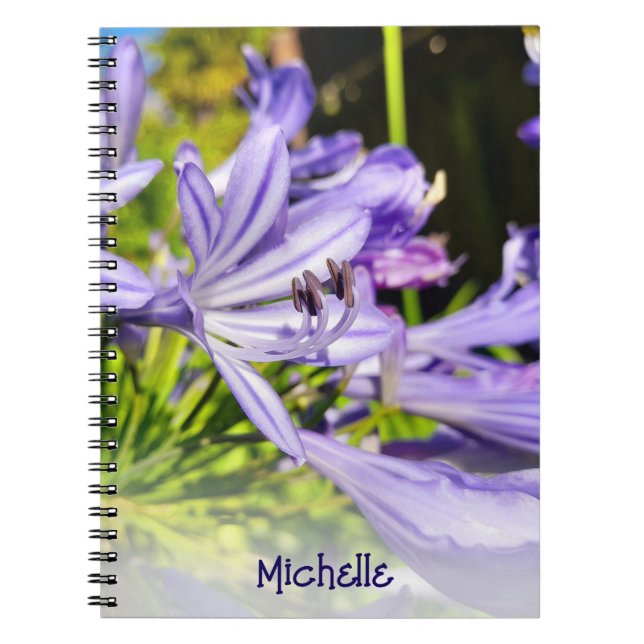 Carnet Nouvelle-Zélande Fleur pourpre (Devant)