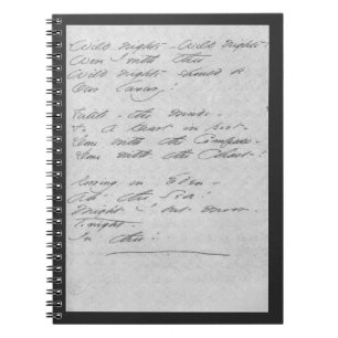 Carnet Nuits sauvages, nuits sauvages Manuscript
