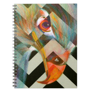 Carnet Oeil d'Eagle