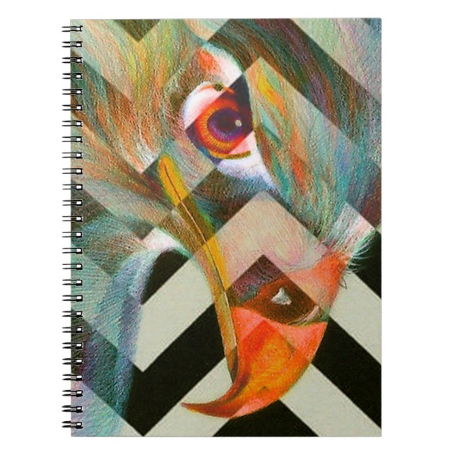 Carnet Oeil d'Eagle (Devant)