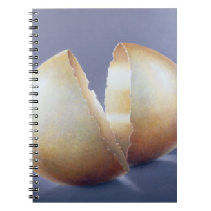 Carnet Oeuf criqué d'âge du bronze