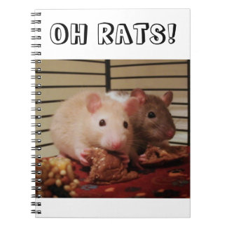 Carnet Oh rats !