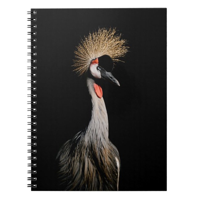 CARNET OISEAU AU BRÉSIL (Devant)