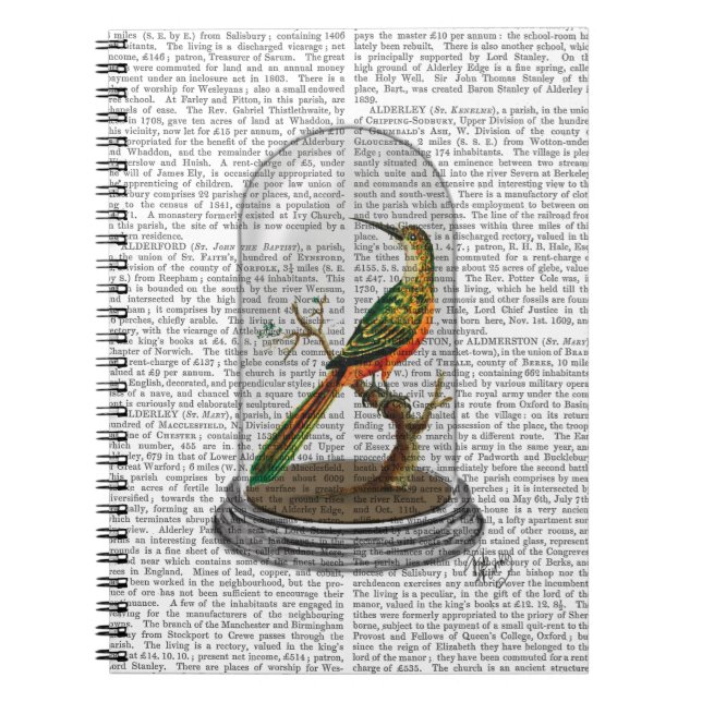 Carnet Oiseau Dans Bell Jar (Devant)