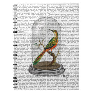 Carnet Oiseau dans cloche en verre