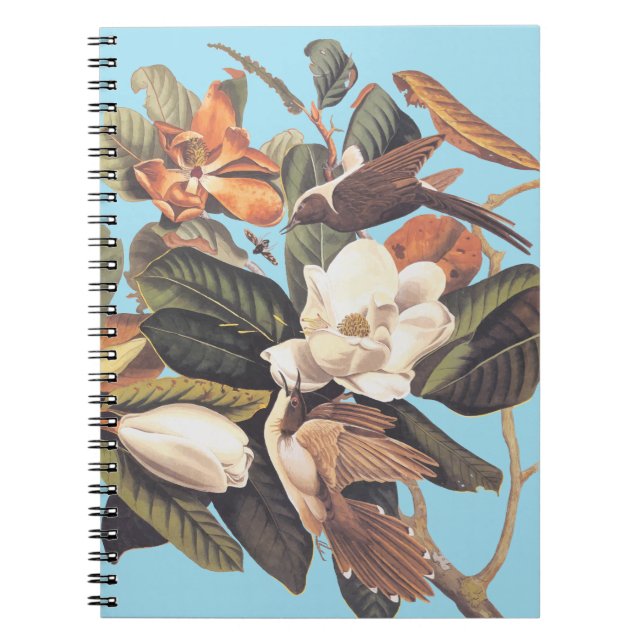 Carnet Oiseau de cacao à bec noir (Devant)