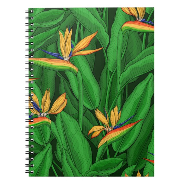 Carnet Oiseau de nuit du jardin du paradis (Devant)