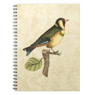Carnet Oiseau jaune et vert été perché sur une petite